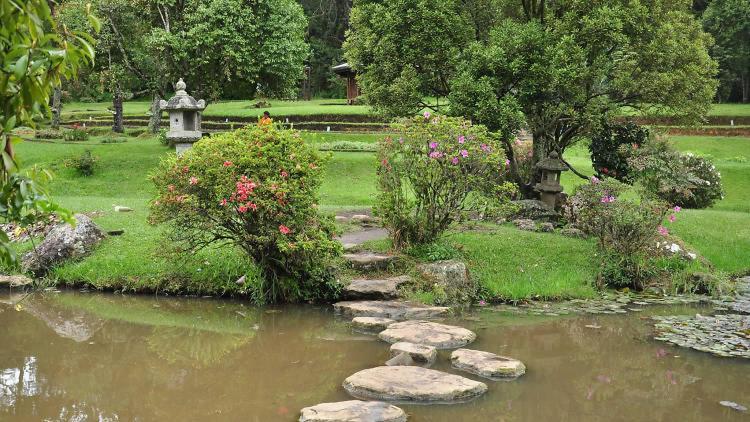 Avenue Nuwara Eliya Apartment Ngoại thất bức ảnh